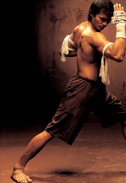 brucelee maroc o jaa